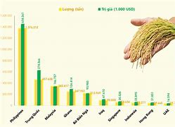 1 Năm Việt Nam Xuất Khẩu Bao Nhiêu Tấn Gạo
