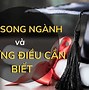 Học Song Ngành Luật